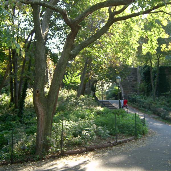 New York Vacation 10-2006